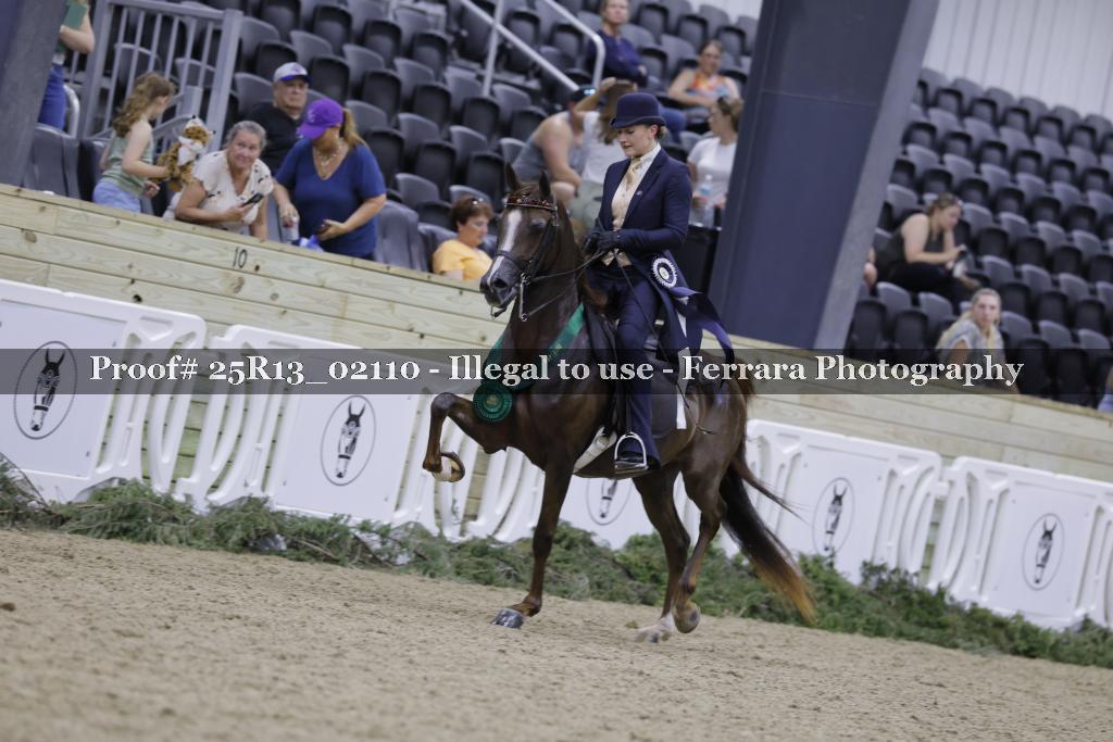Proof 25R13_02110