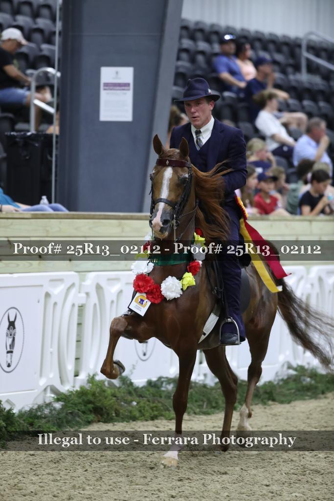 Proof 25R13_02112