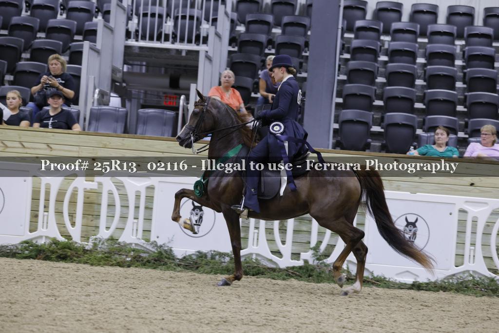 Proof 25R13_02116