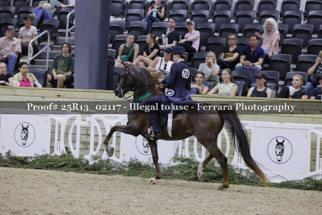 Proof 25R13_02117