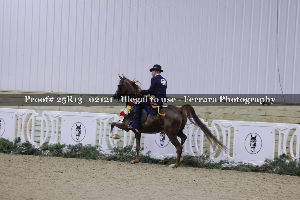 Proof 25R13_02121