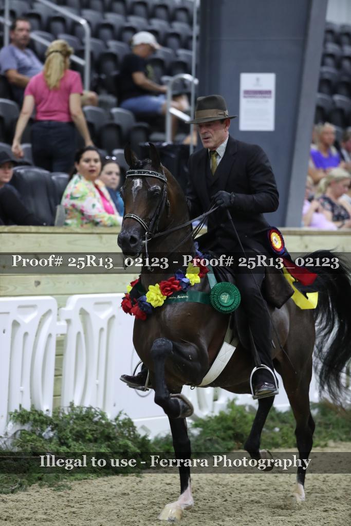 Proof 25R13_02123