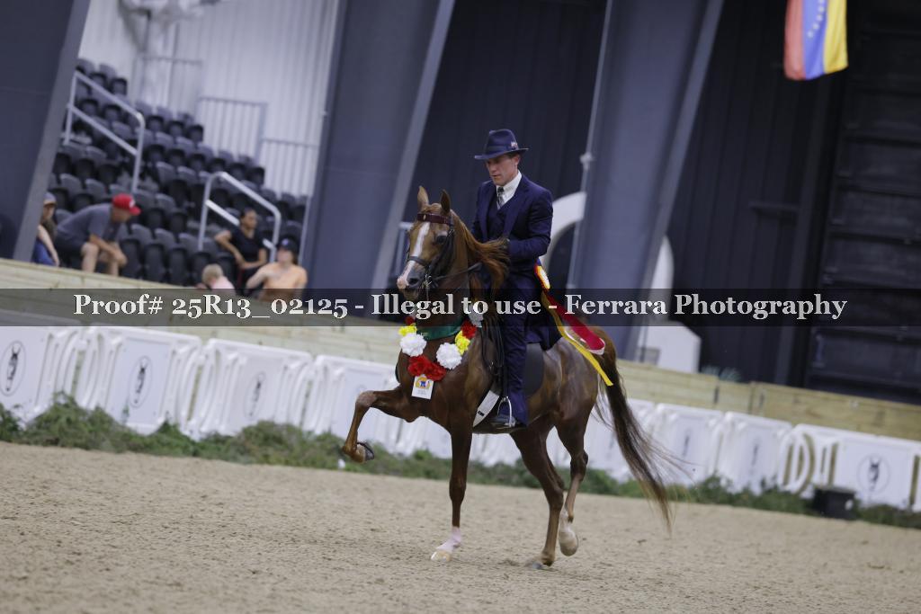 Proof 25R13_02125