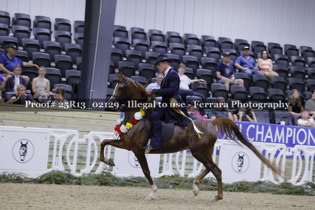 Proof 25R13_02129