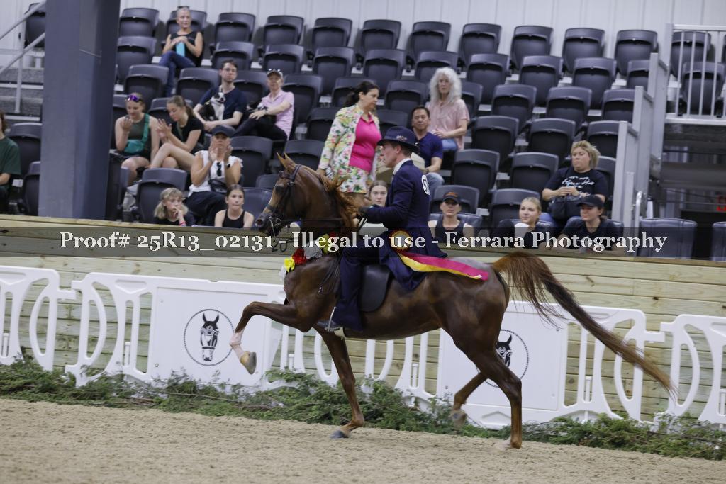 Proof 25R13_02131