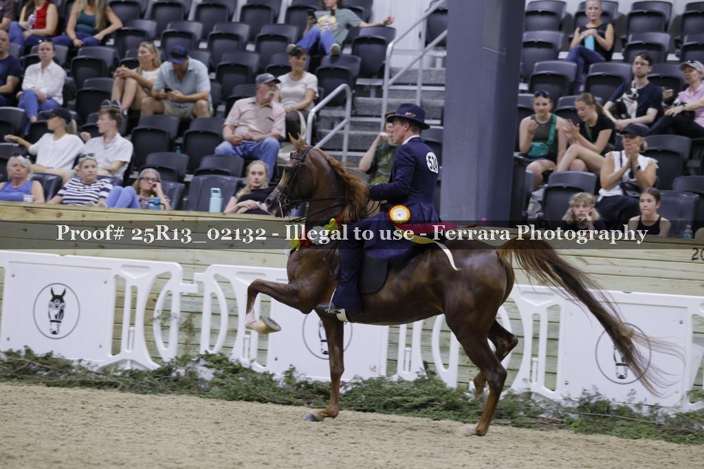 Proof 25R13_02132