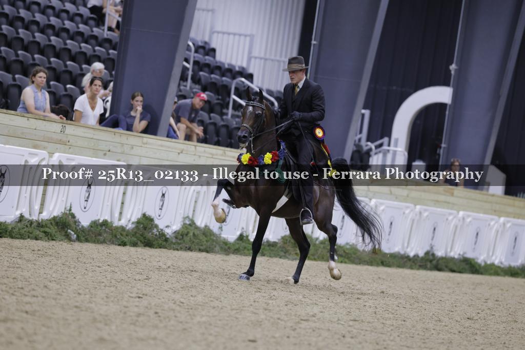 Proof 25R13_02133