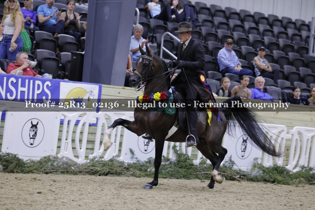 Proof 25R13_02136