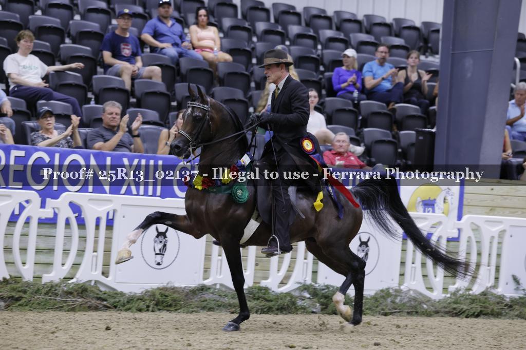 Proof 25R13_02137