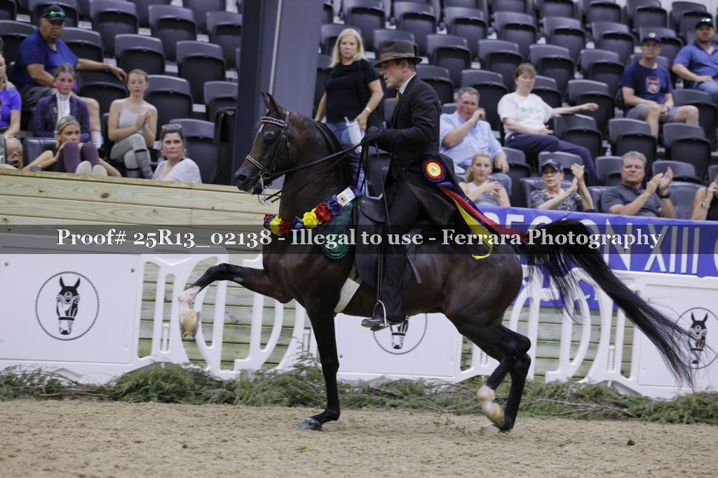 Proof 25R13_02138
