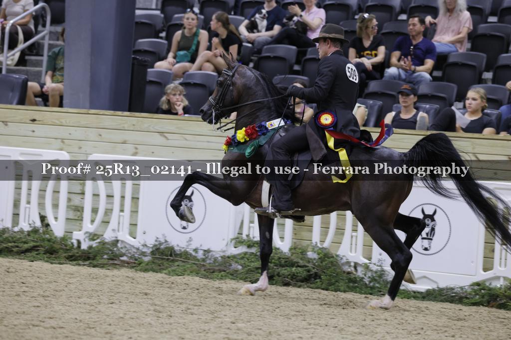 Proof 25R13_02141