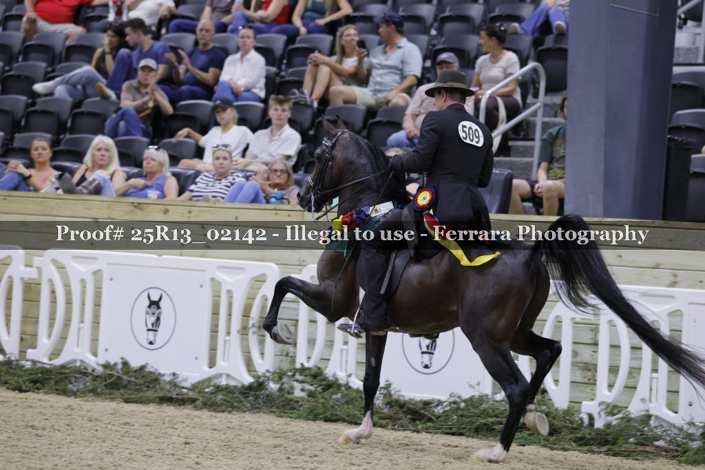 Proof 25R13_02142