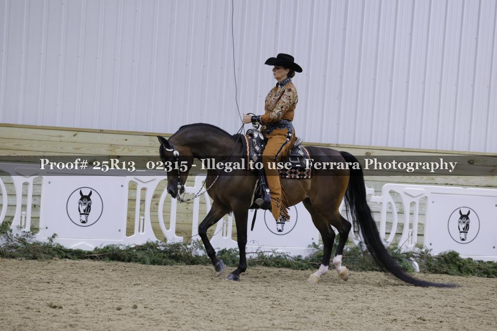 Proof 25R13_02315