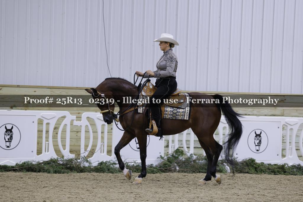 Proof 25R13_02319