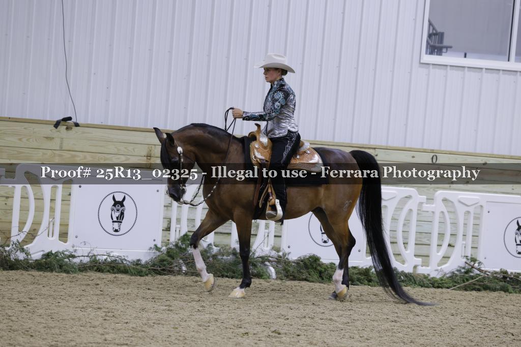 Proof 25R13_02325