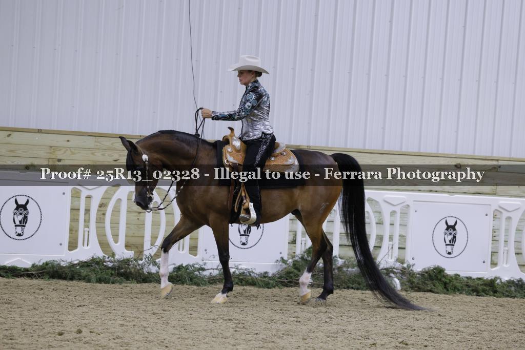 Proof 25R13_02328