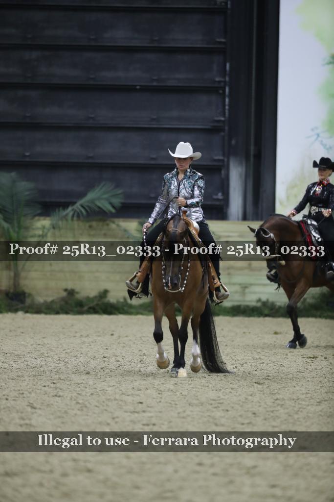 Proof 25R13_02333