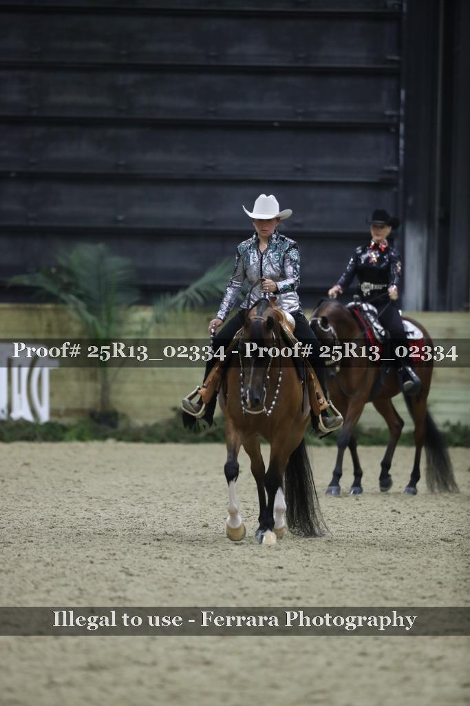 Proof 25R13_02334