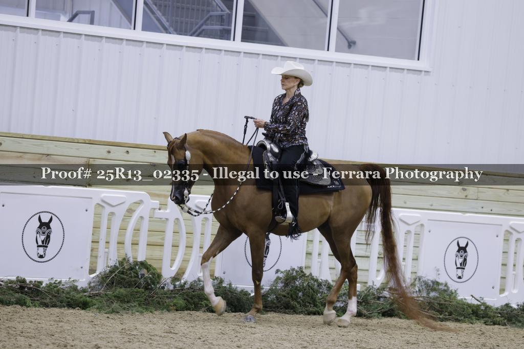 Proof 25R13_02335