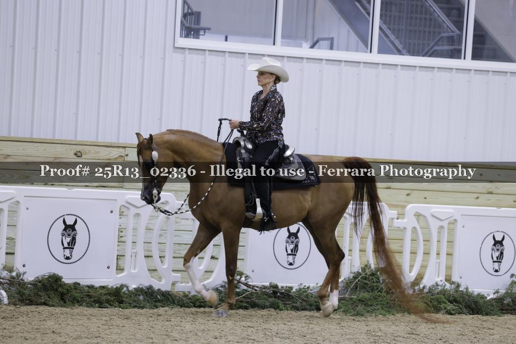 Proof 25R13_02336