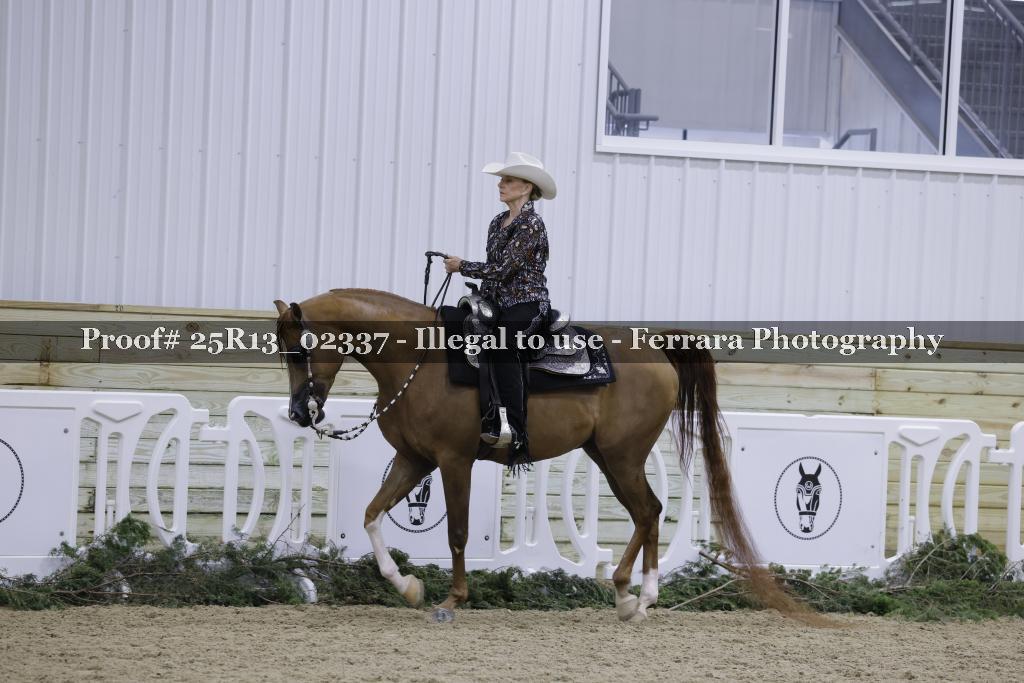 Proof 25R13_02337