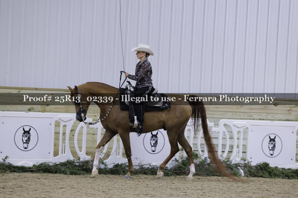 Proof 25R13_02339