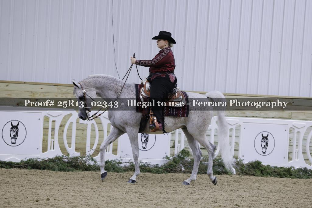 Proof 25R13_02343