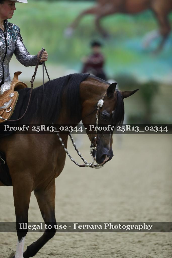 Proof 25R13_02344
