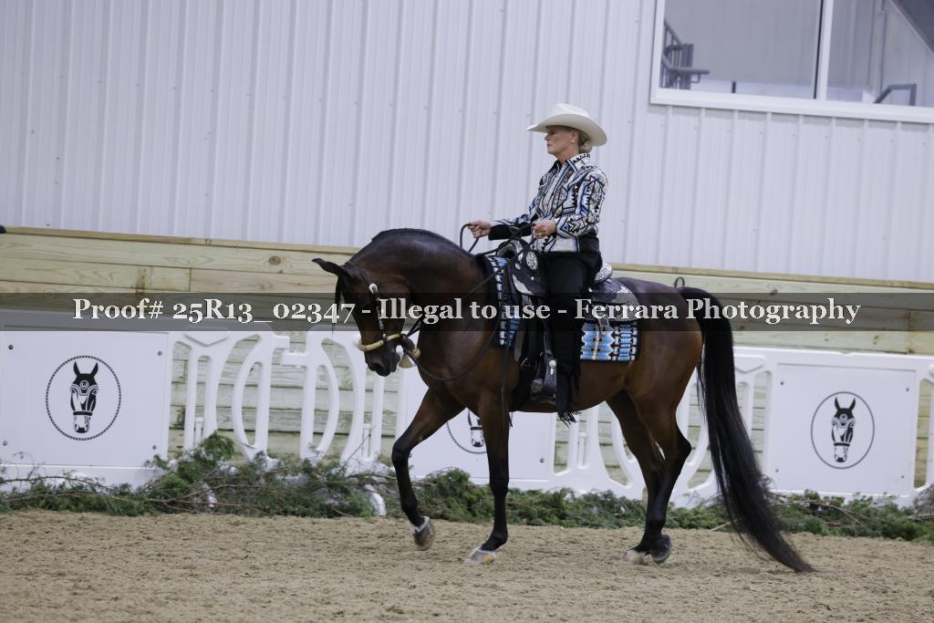 Proof 25R13_02347