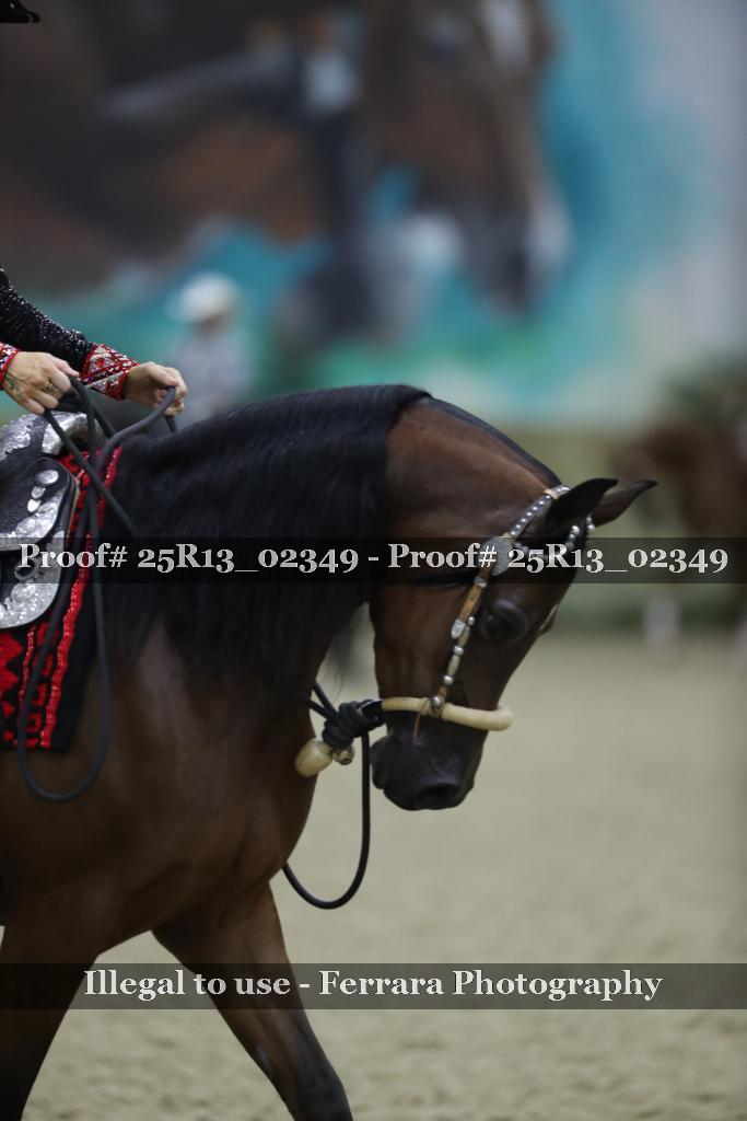 Proof 25R13_02349