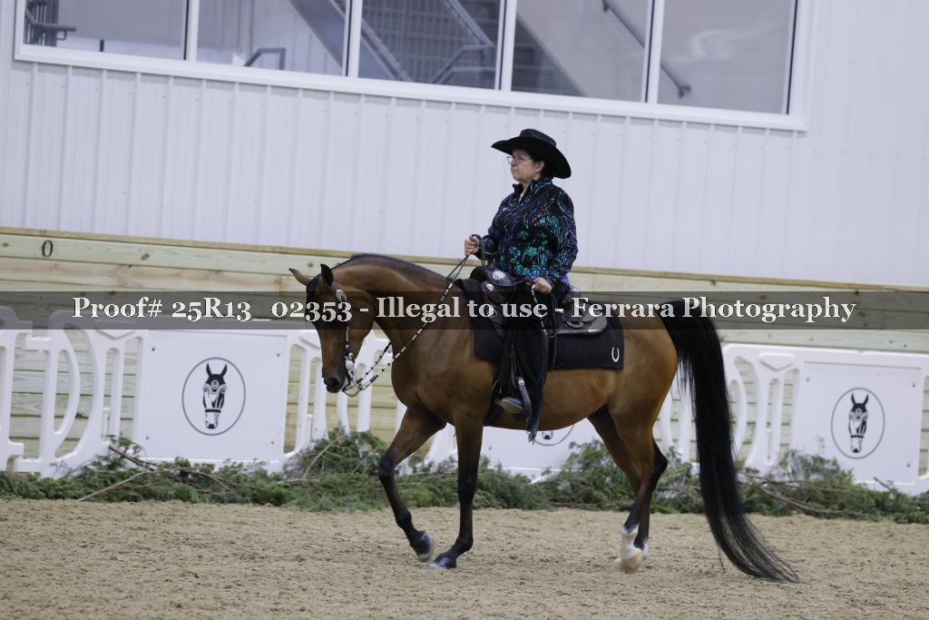 Proof 25R13_02353