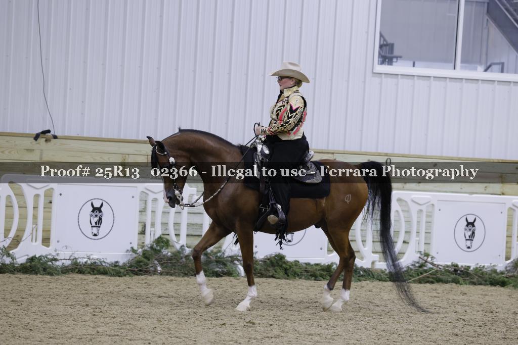 Proof 25R13_02366