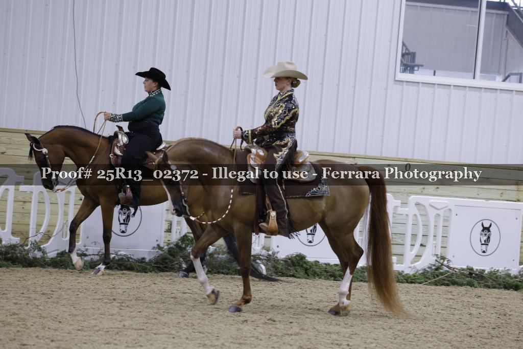 Proof 25R13_02372