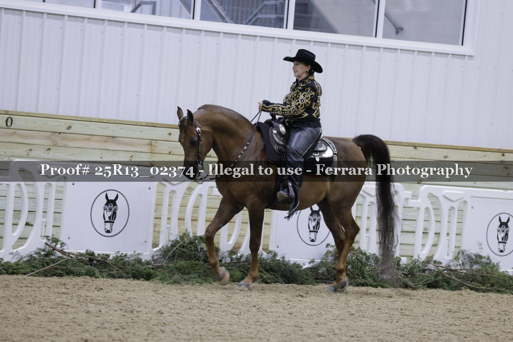 Proof 25R13_02374