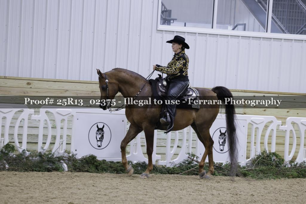 Proof 25R13_02375