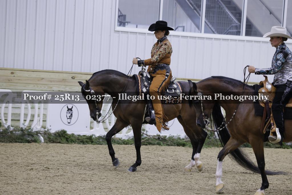 Proof 25R13_02377