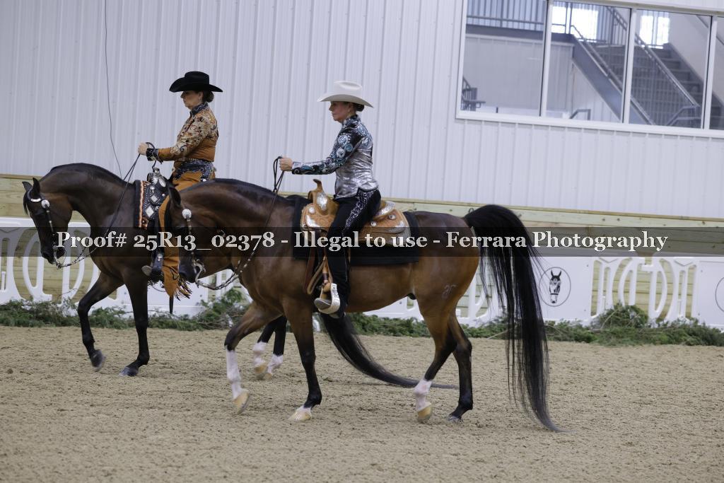 Proof 25R13_02378