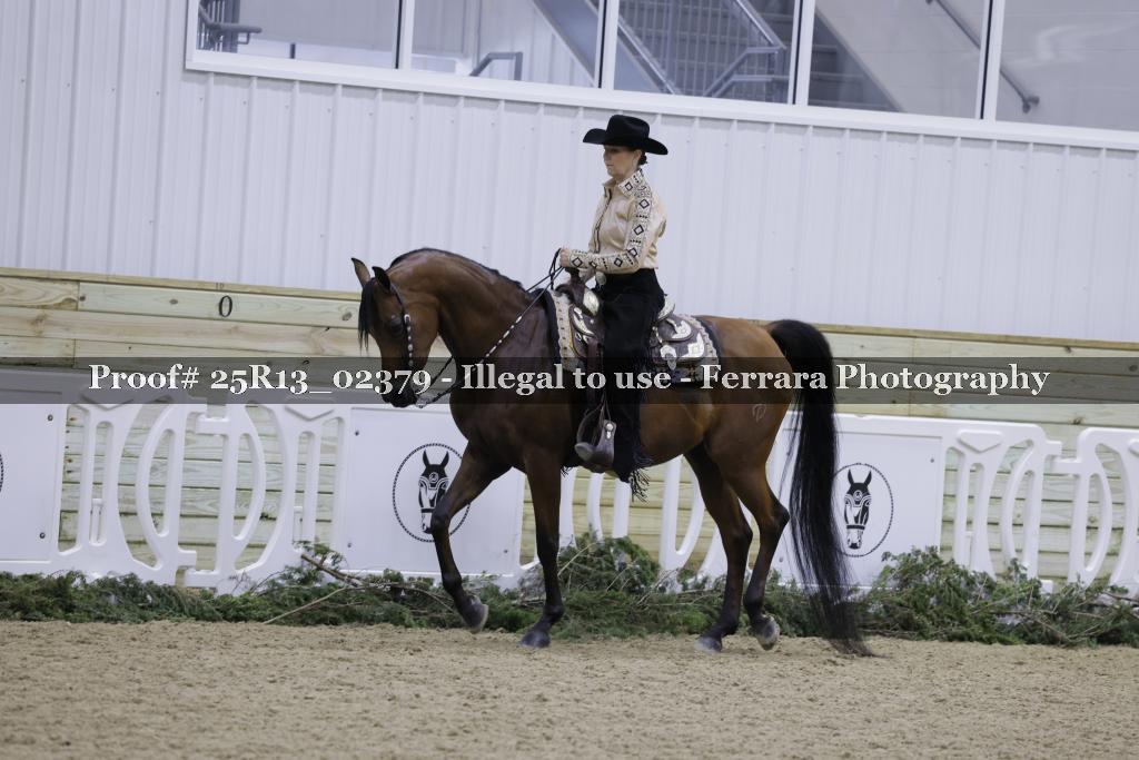 Proof 25R13_02379