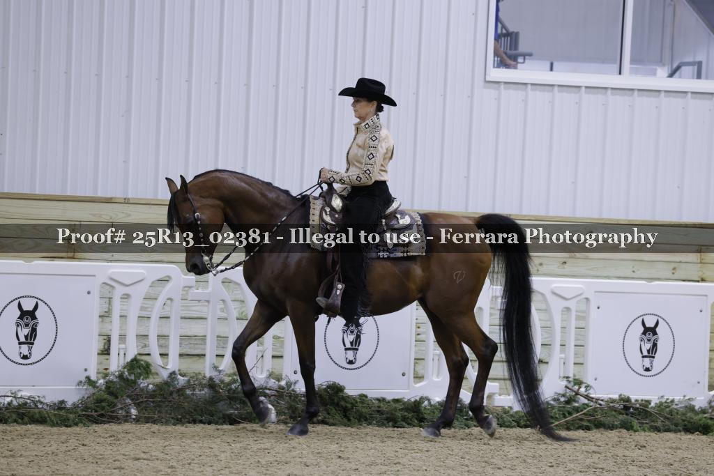 Proof 25R13_02381