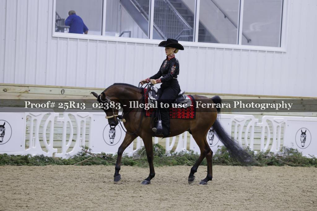 Proof 25R13_02383