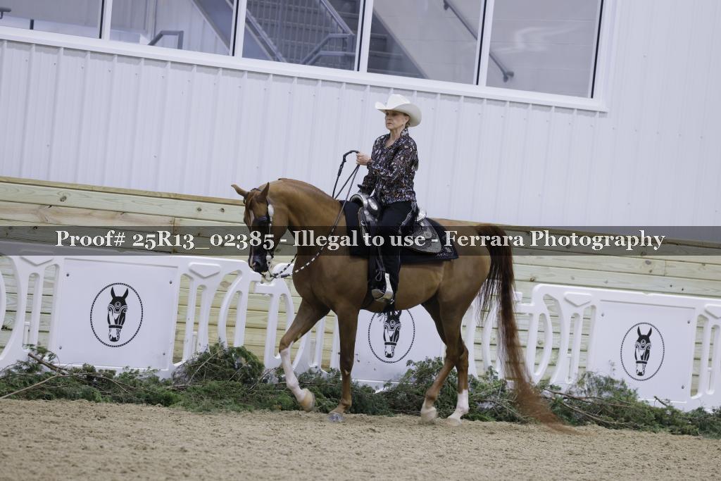 Proof 25R13_02385