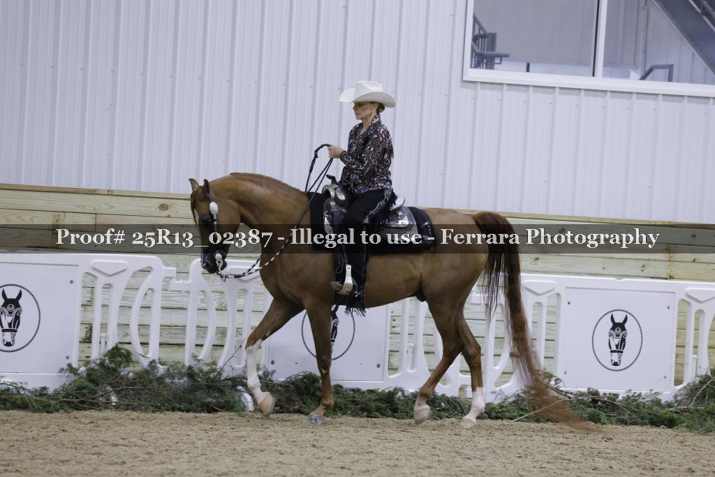 Proof 25R13_02387