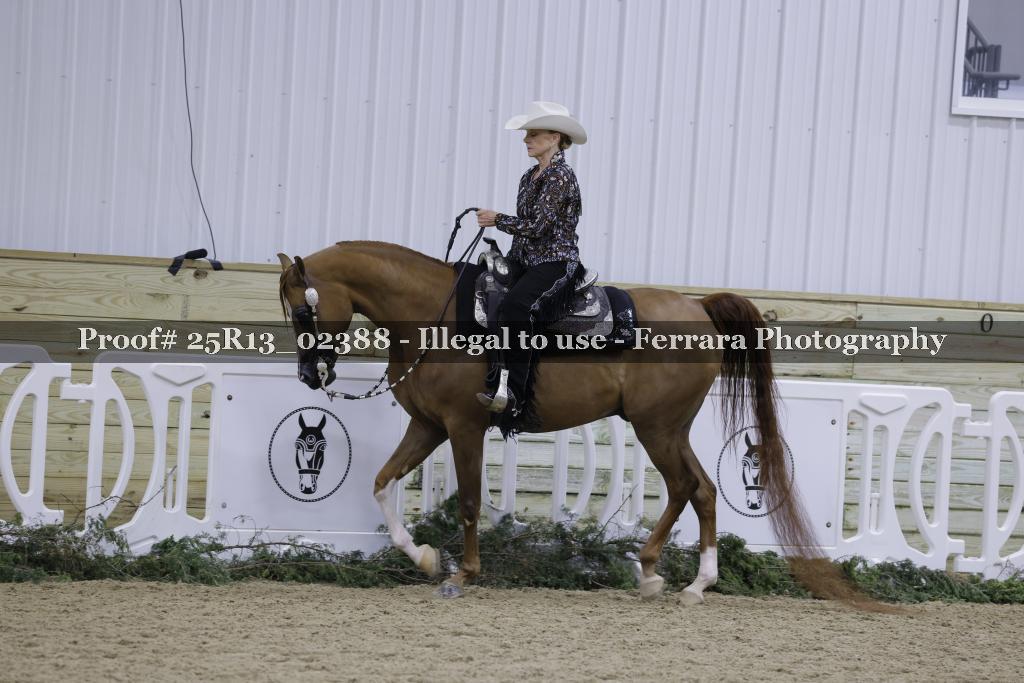 Proof 25R13_02388