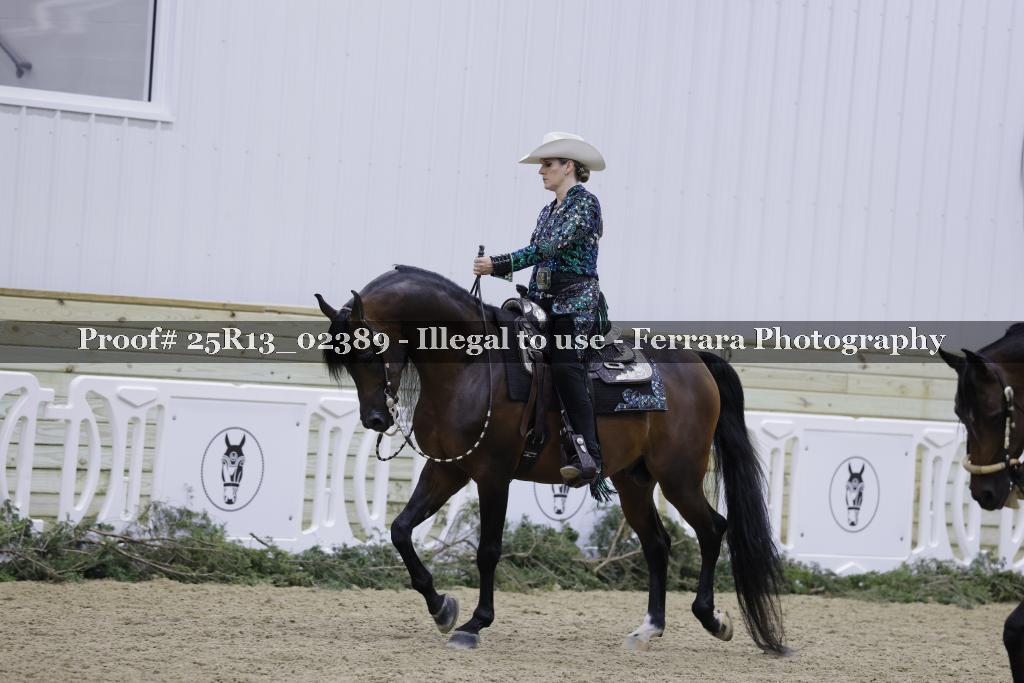 Proof 25R13_02389