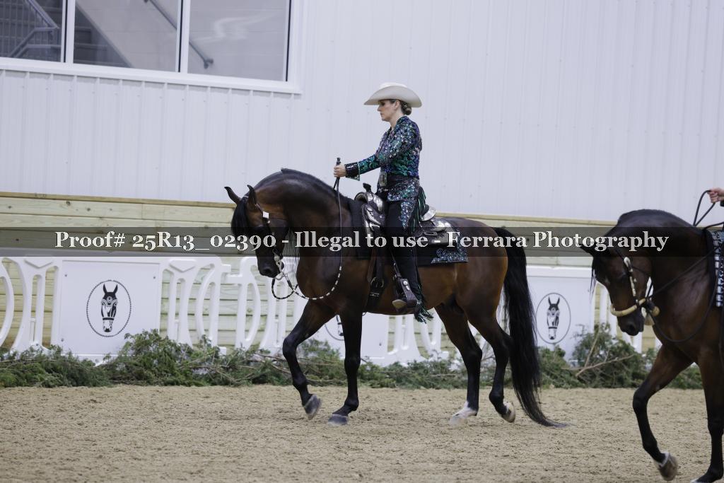 Proof 25R13_02390