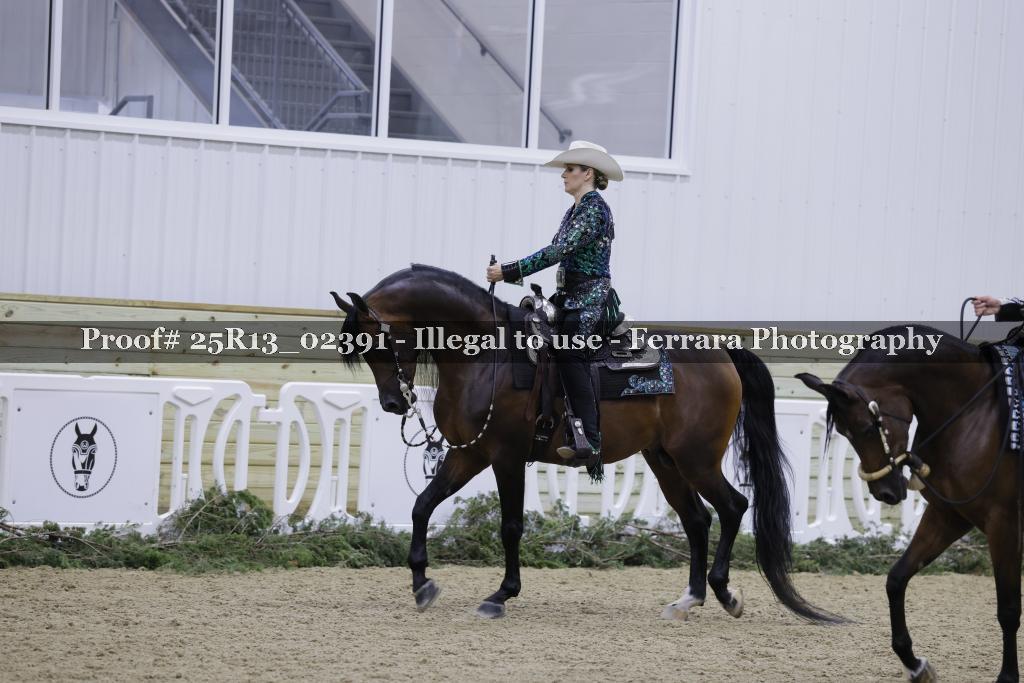 Proof 25R13_02391