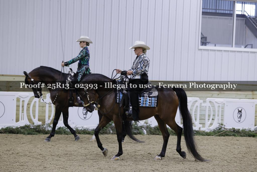 Proof 25R13_02393