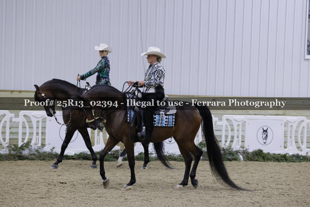 Proof 25R13_02394