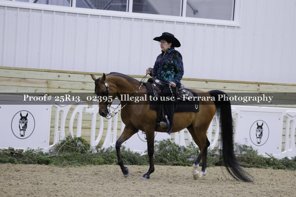 Proof 25R13_02395