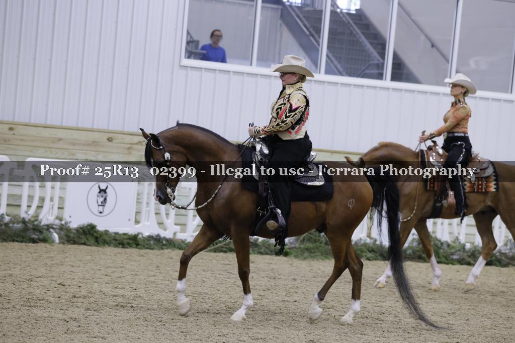 Proof 25R13_02399